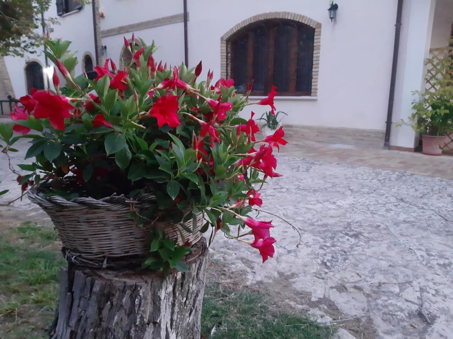 Da Nella Dimora Di Campagna Сasa de vacaciones
